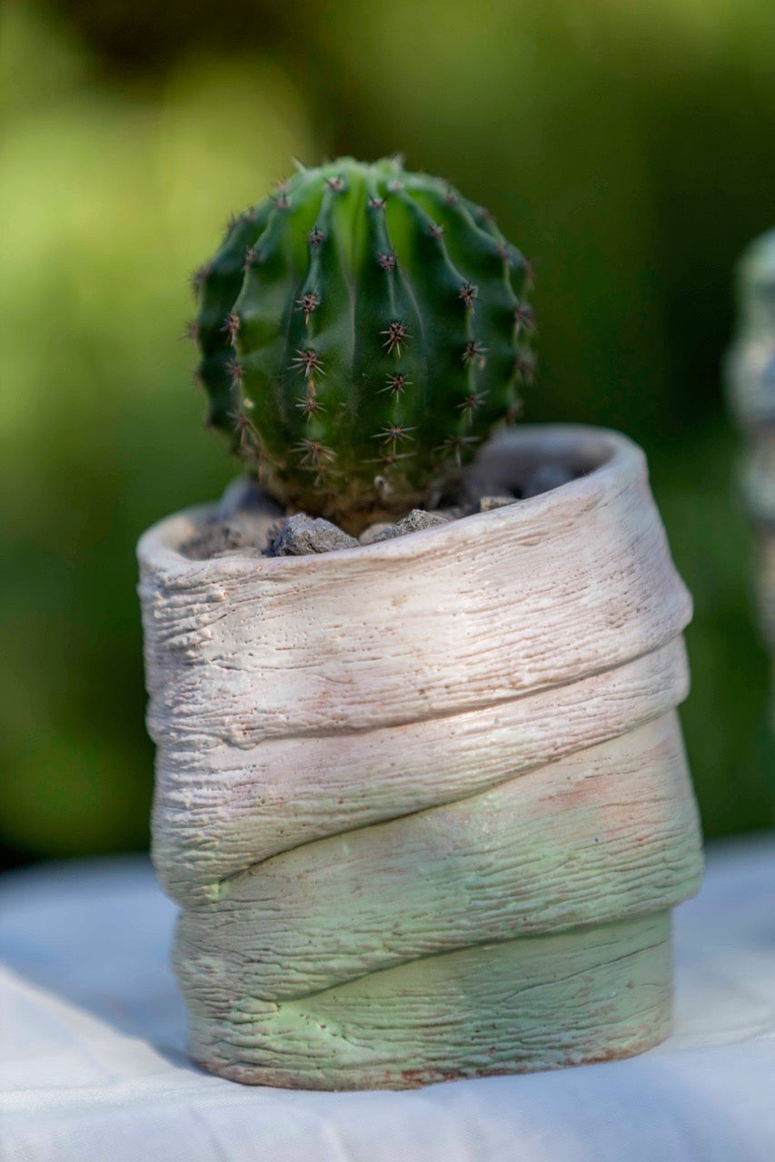 Vaso per piante